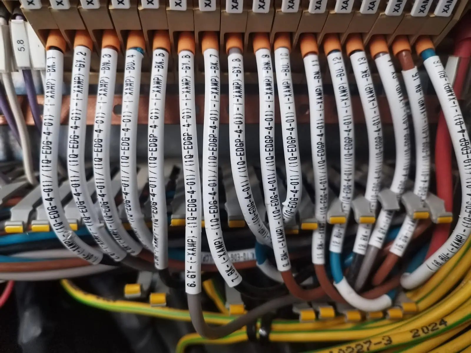 Glanded and terminated cables inside a junction box